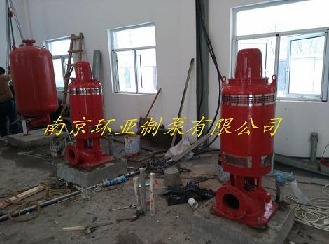 IMG_20150129_153643.jpg 南京環(huán)亞制泵介紹XBD-RJC長(zhǎng)軸深井消防泵的應(yīng)用(圖5)