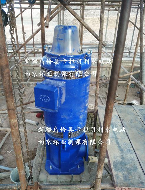 祝賀南京環(huán)亞制泵有限公司中標新疆烏恰縣卡拉貝利水電站(圖4)